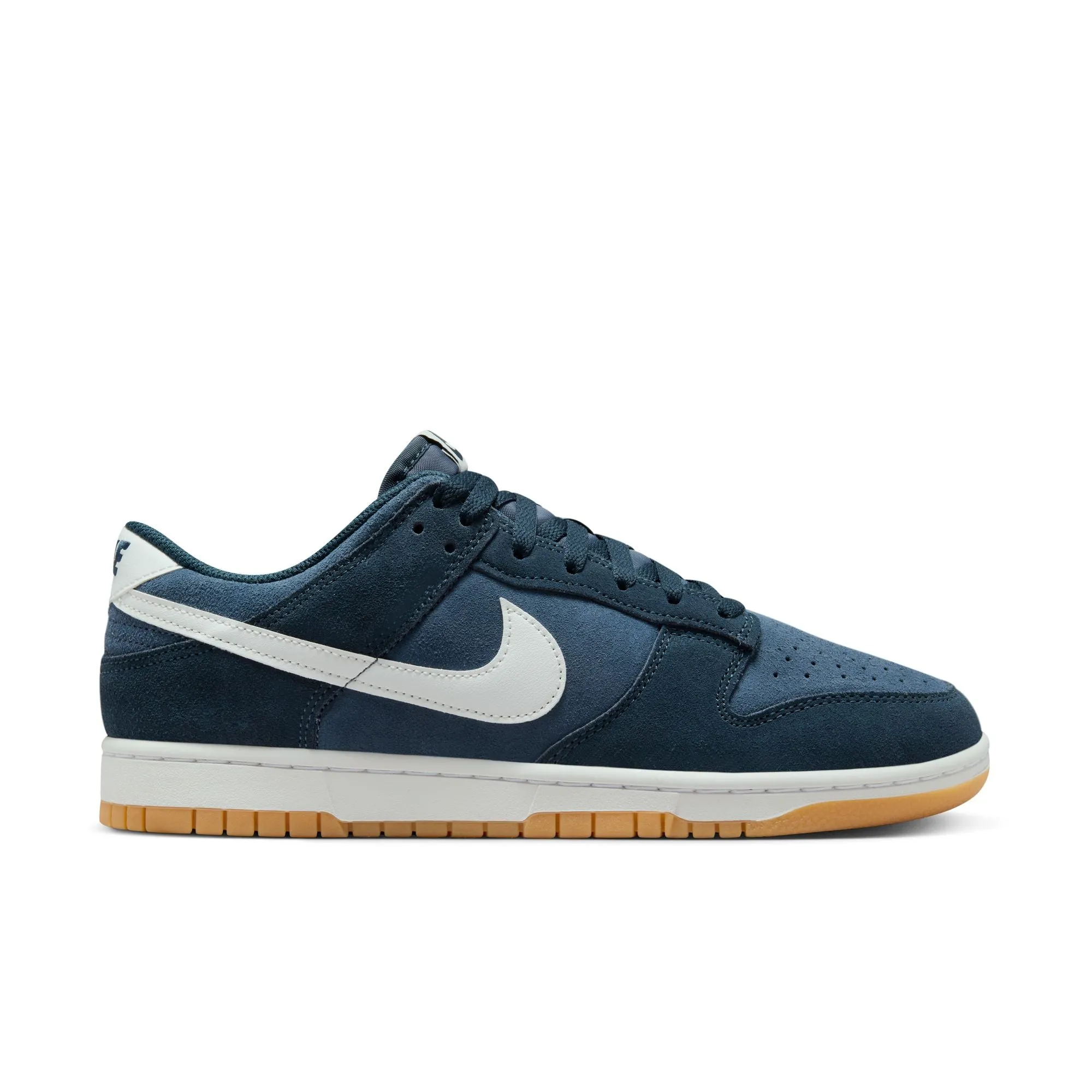 Nike Dunk Low Retro SE Monsoon Blue