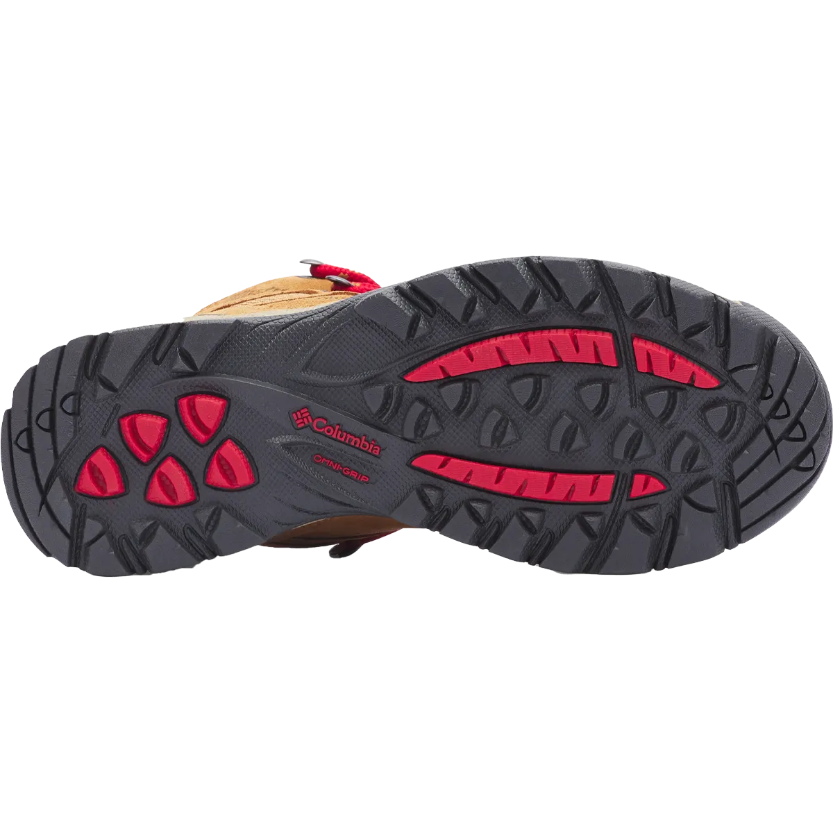 Women's Newton Ridge Plus Waterproof Amped